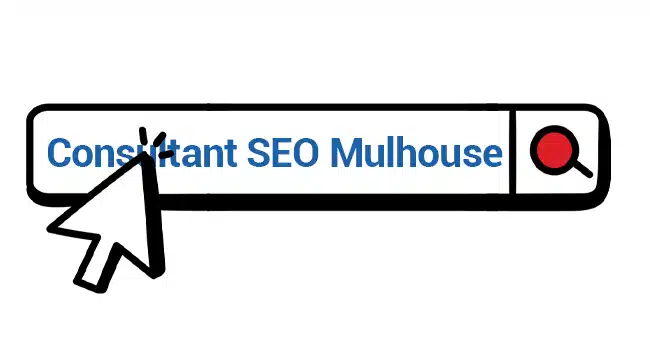 consultant seo mulhouse referencement